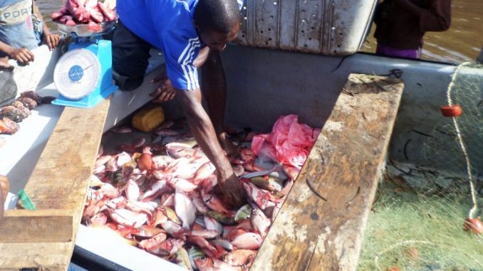 peche-comores