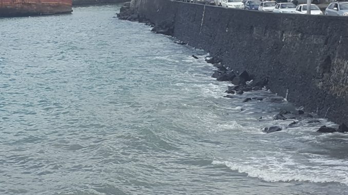 20171212_184754.jpg