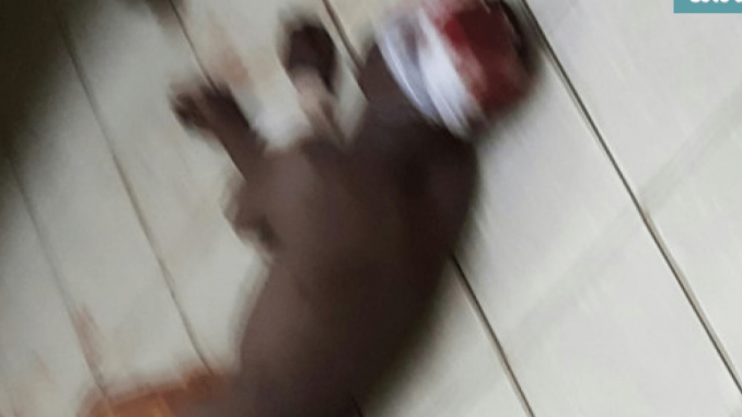 20200813_193637.png