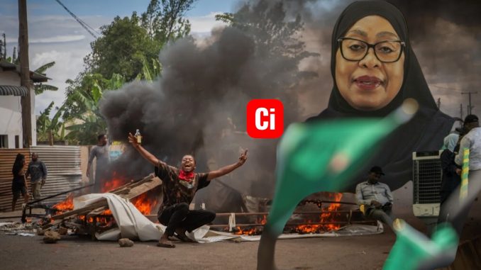 Photoroom_20251031_152954